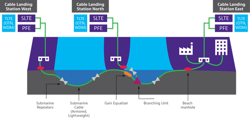 Submarine Cable Network Diagram