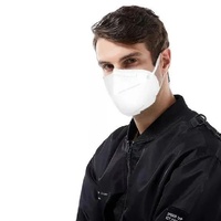 FFP2 Disposable Respirator, Unvalved - Single Mask