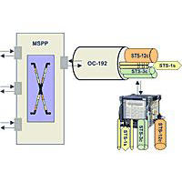 VIAVI ONT Module-E 10G SDH SONET and Multi-Channel